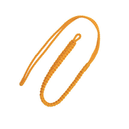 Lanyard