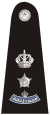 Oman royals badges